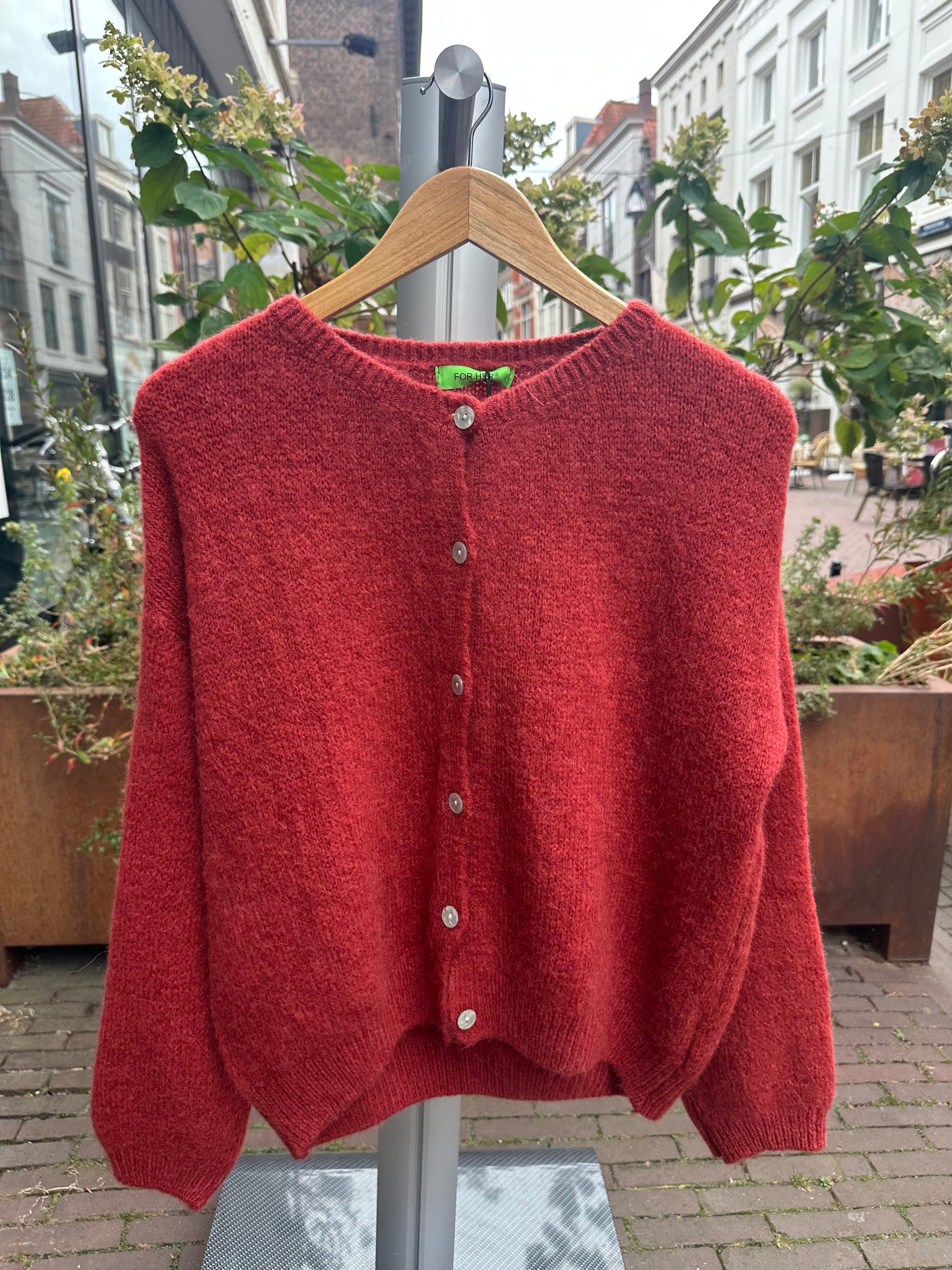 Alpaca vest